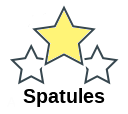 Spatules