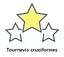 Tournevis cruciformes