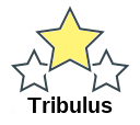 Tribulus